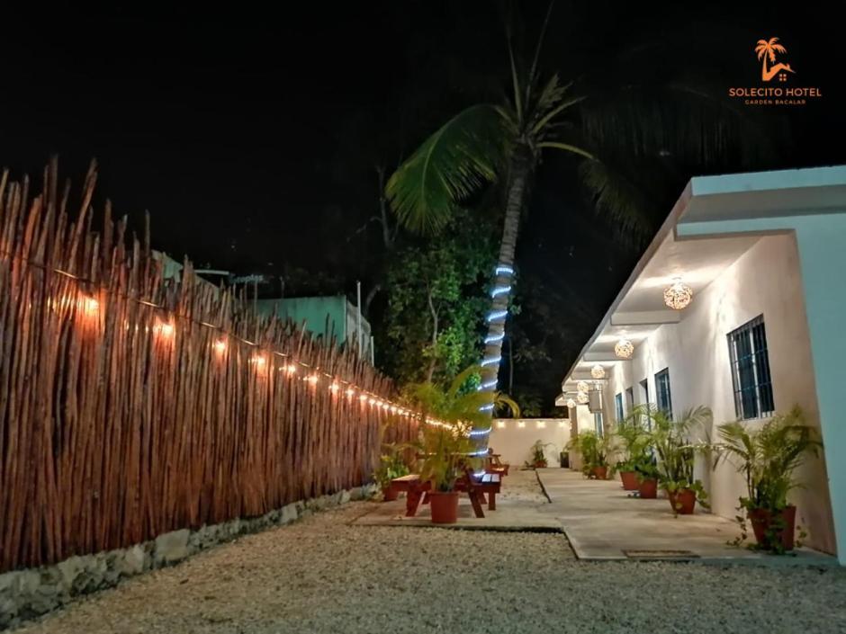 Hotel Apartaments Solecito Bacalar - Free Bikes & Paddle Luaran gambar